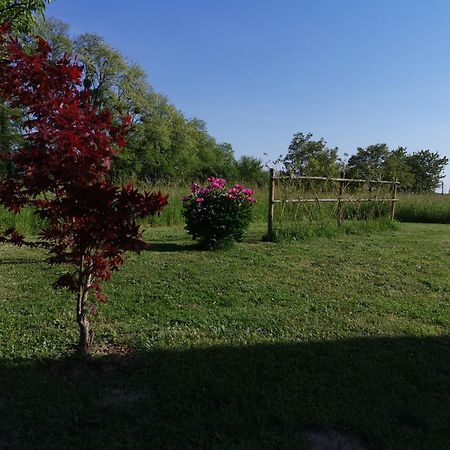 La Ferme De La Terve Bed & Breakfast Bruailles Exterior photo