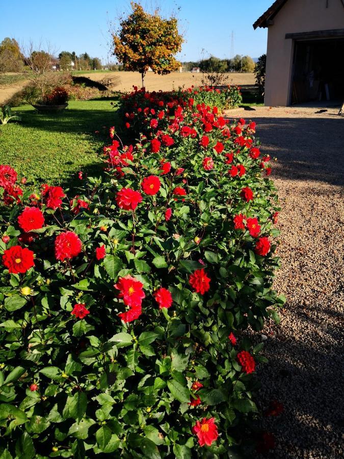 La Ferme De La Terve Bed & Breakfast Bruailles Exterior photo