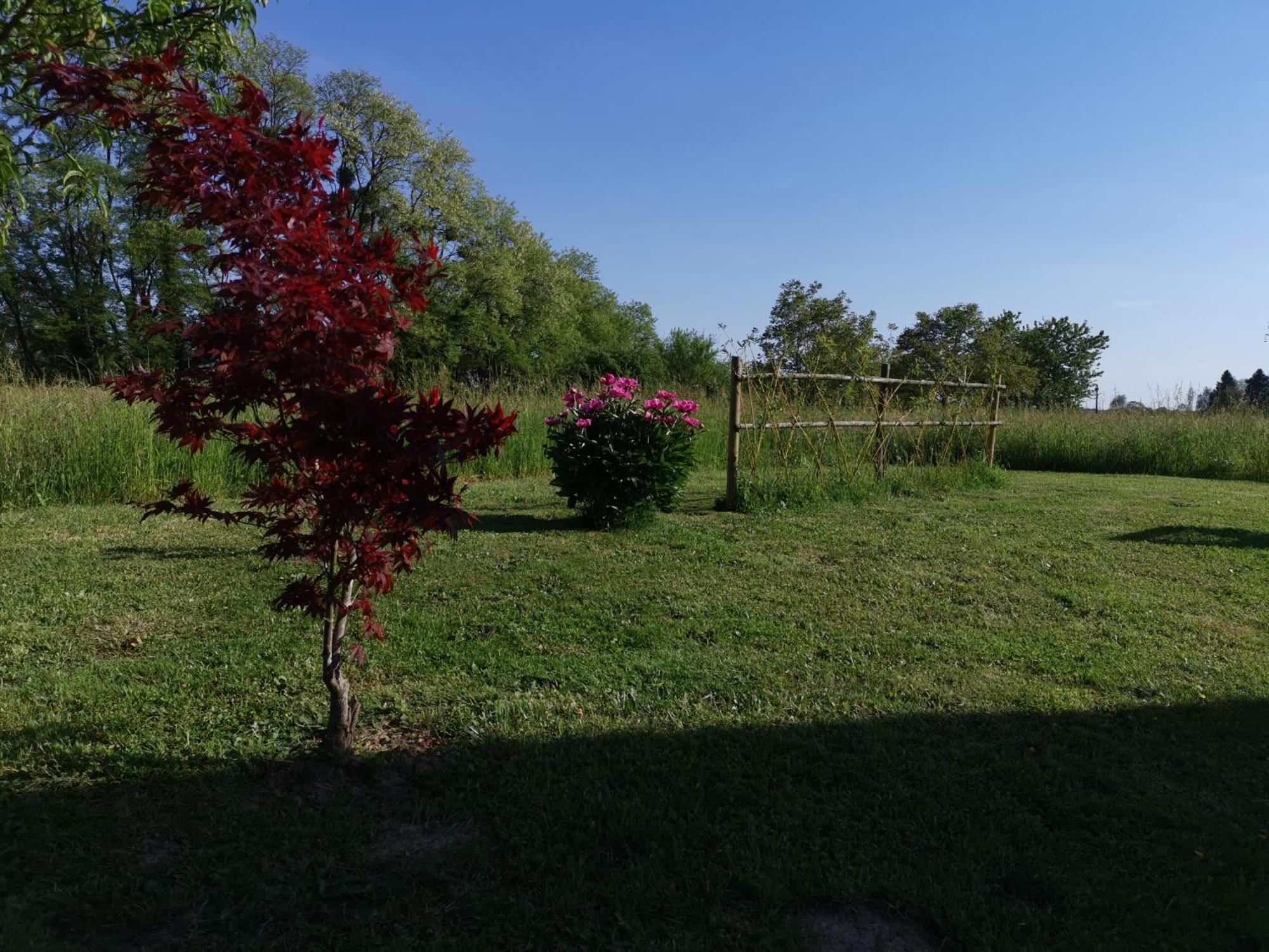 La Ferme De La Terve Bed & Breakfast Bruailles Exterior photo
